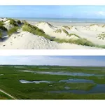 Domaine Des Celestins - Bleu Des Dunes Feriehus