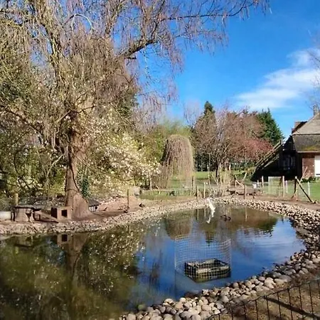 Domaine Des Celestins - Bleu Des Dunes
